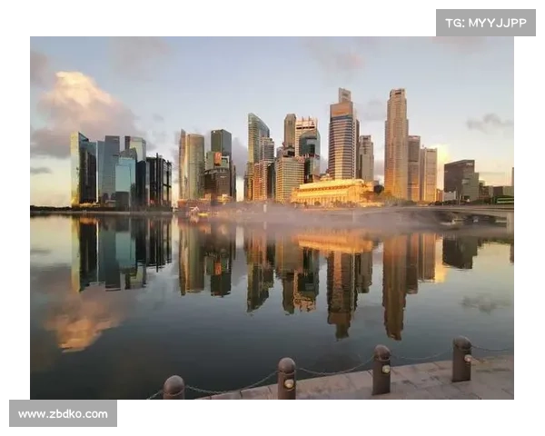 深入解析波尔蒂足球俱乐部别称由来与文化意义的全景视角探索