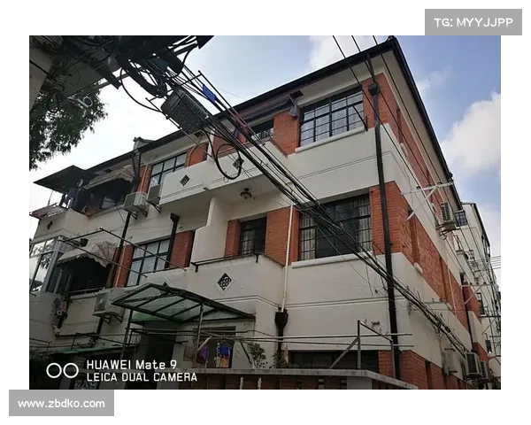 帕雷德斯与罗德里戈的五大鲜为人知的秘密与背后故事